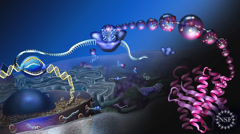 Human Evolution 2-22-2222 ::: Cure for the Autoimmune Imagination&nbsp;Disease